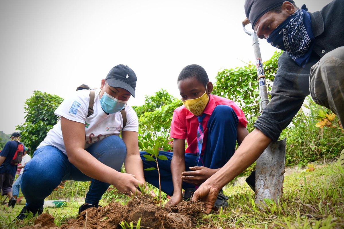 UNDPBarbadosEC's tweet photo. Today, on #InternationalDayofForests we are planting for the planet in the Commonwealth of #Dominica!
Students from Concord Primary School had the opportunity to plant trees around their school while learning how beneficial plants are for people and for planet. https://t.co/C4KmGypPM0
