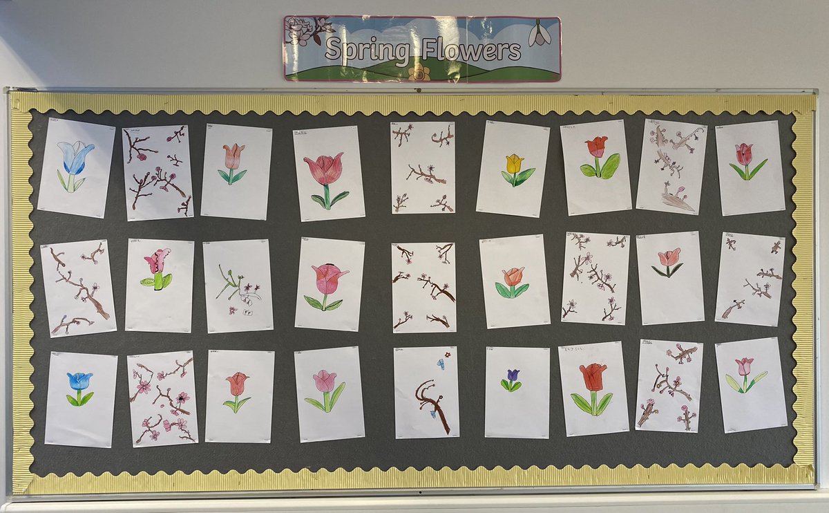 MissLAHarrison's tweet image. Spring has sprung in P4H @Whitehillsps with our tulip and cherry blossom drawings.  #spring