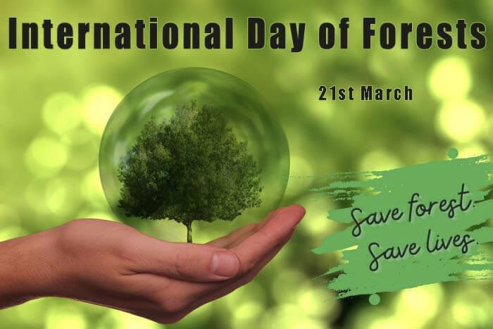 EcokidsC's tweet photo. 🌲🌳🌱 https://t.co/HlSd2lsxMO