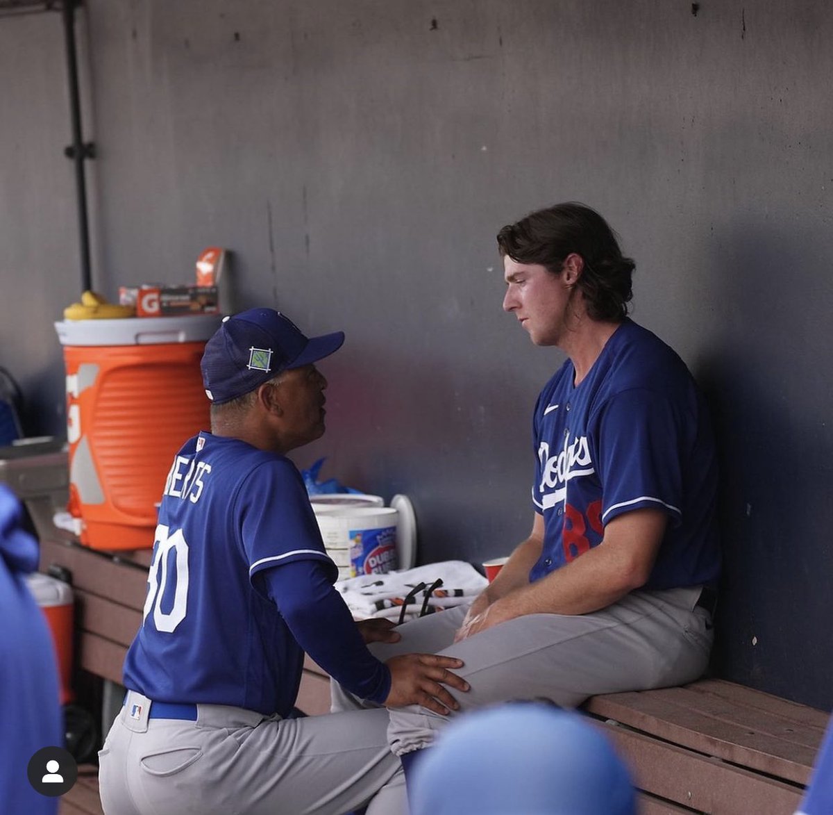 Michele C 🐝⚾️🐝 tweet media