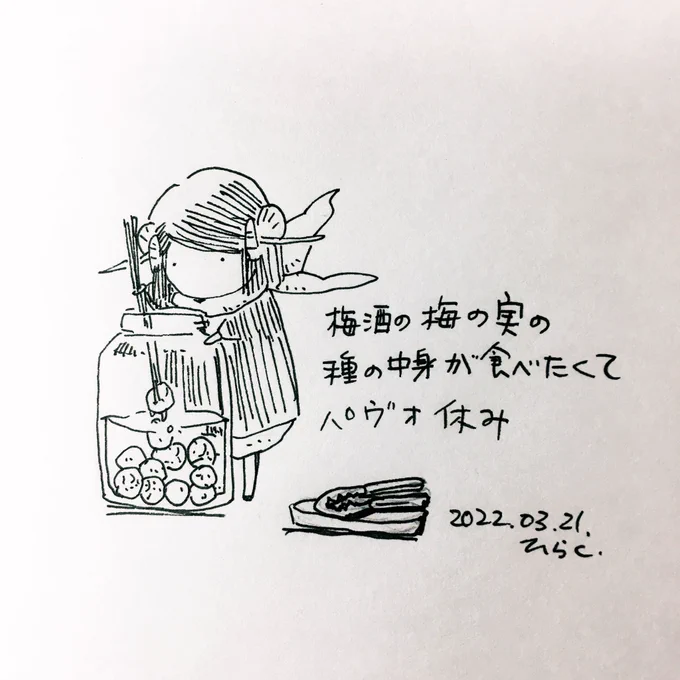 I want to eat the contents of the plum seeds used in plum wine.
#パヴォ休み 