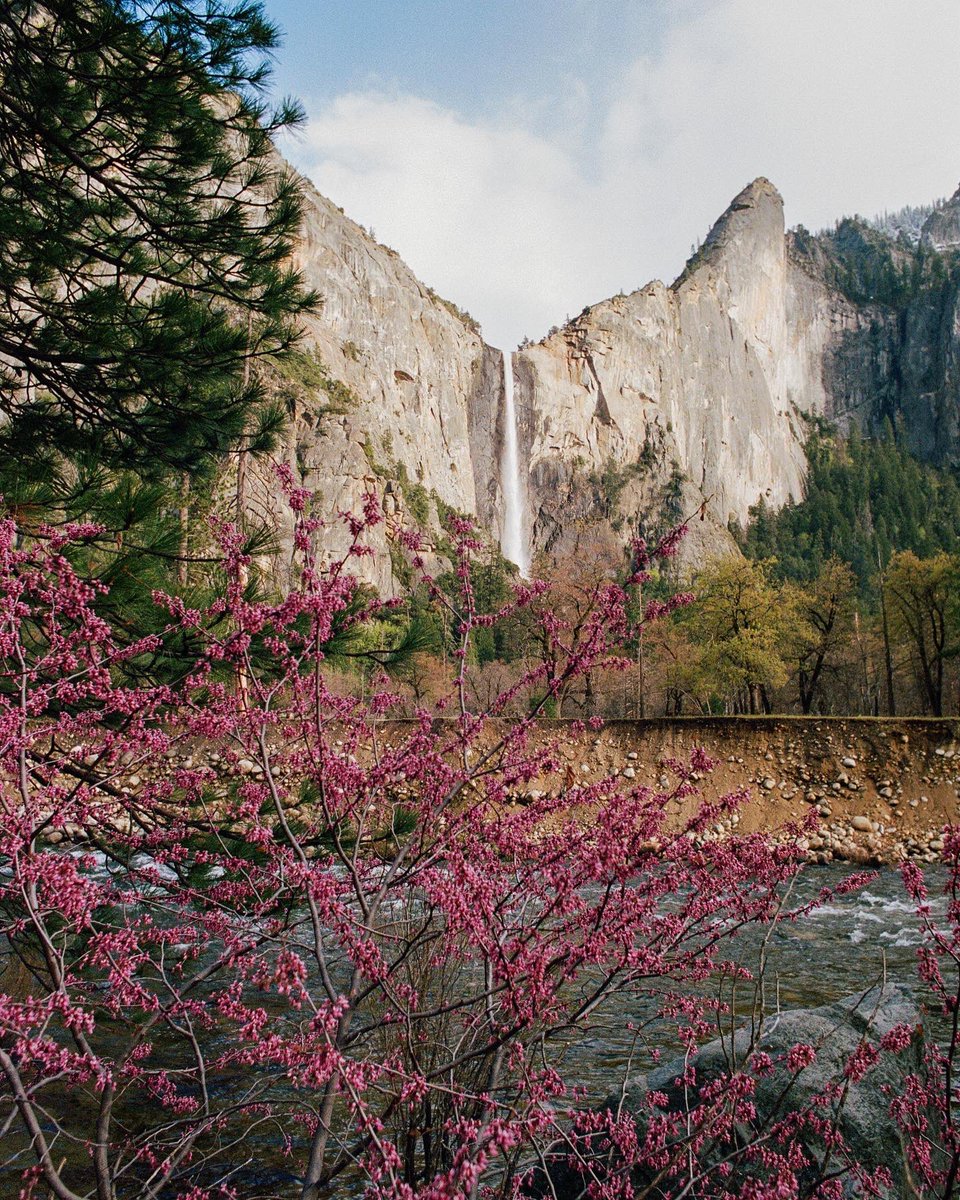 JAMESPIPERPHOTO's tweet photo. yosemite on 35mm 🎞 https://t.co/MopNArRPLB