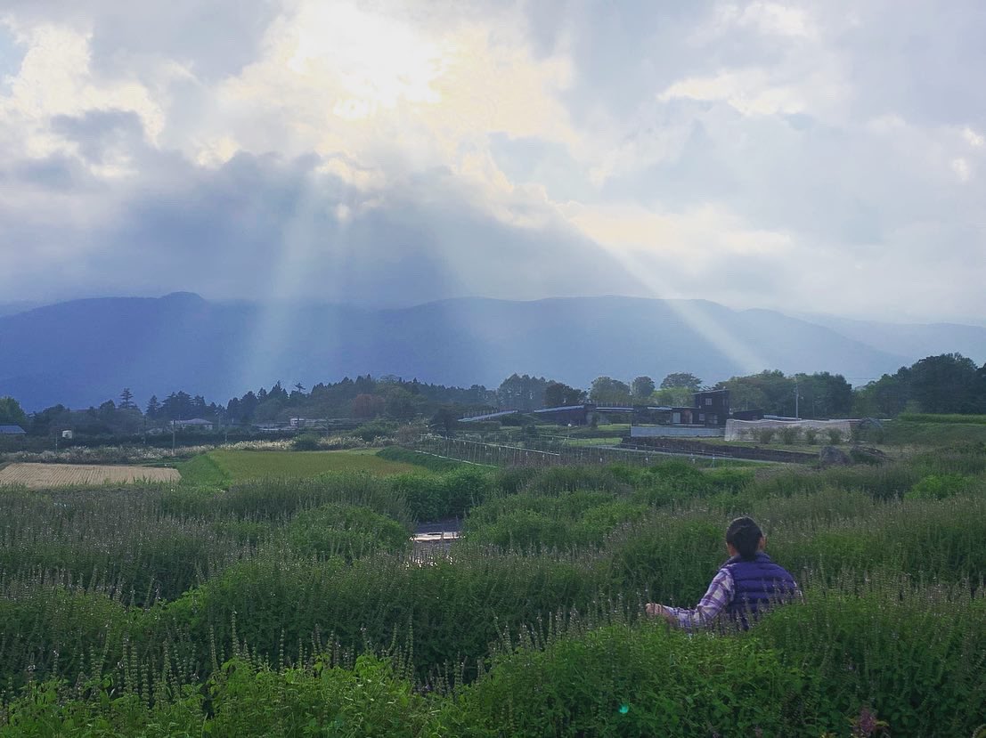 instagram.com/p/CLrCr60HZr2/…
花粉で苦しんでる人達をほっとけない。
うちのハーブティ凄いみたいで、
皆さまからの声が一番信用できると思うので、ここのコメント欄を是非是非見て欲しいです🌿