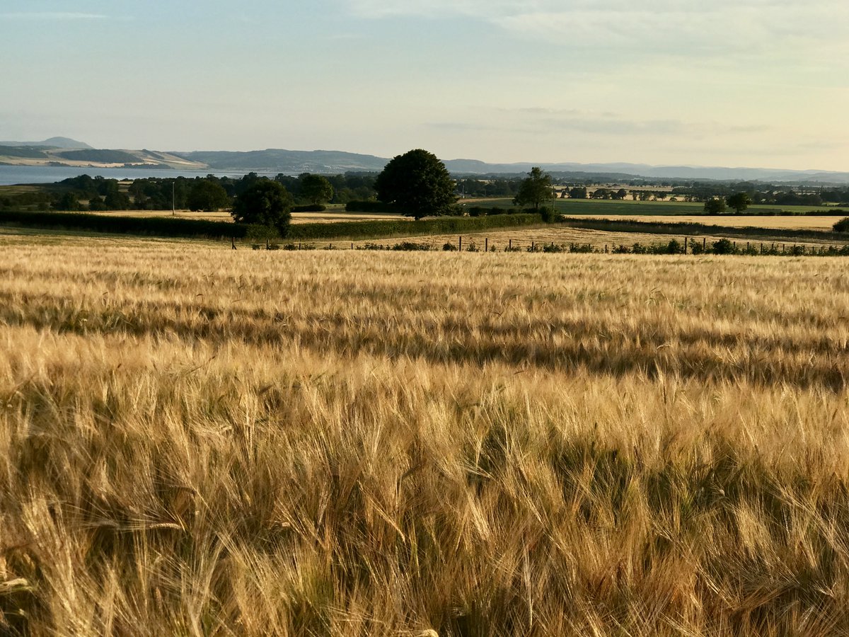 Gordon Simpson (@ggsimpsonrna) on Twitter photo Please re-tweet: we are recruiting a bioinformatics post-doc to join our new <a href="/BBSRC/">Biotechnology and Biological Sciences Research</a> funded RNA methylation programme <a href="/UoDLifeSciences/">UoD Life Sciences</a> - involves <a href="/nanopore/">Oxford Nanopore</a> direct RNA sequencing and other exciting stuff 😀 Please re-tweet: we are recruiting a bioinformatics post-doc to join our new <a href="/BBSRC/">Biotechnology and Biological Sciences Research</a> funded RNA methylation programme <a href="/UoDLifeSciences/">UoD Life Sciences</a> - involves <a href="/nanopore/">Oxford Nanopore</a> direct RNA sequencing and other exciting stuff 😀