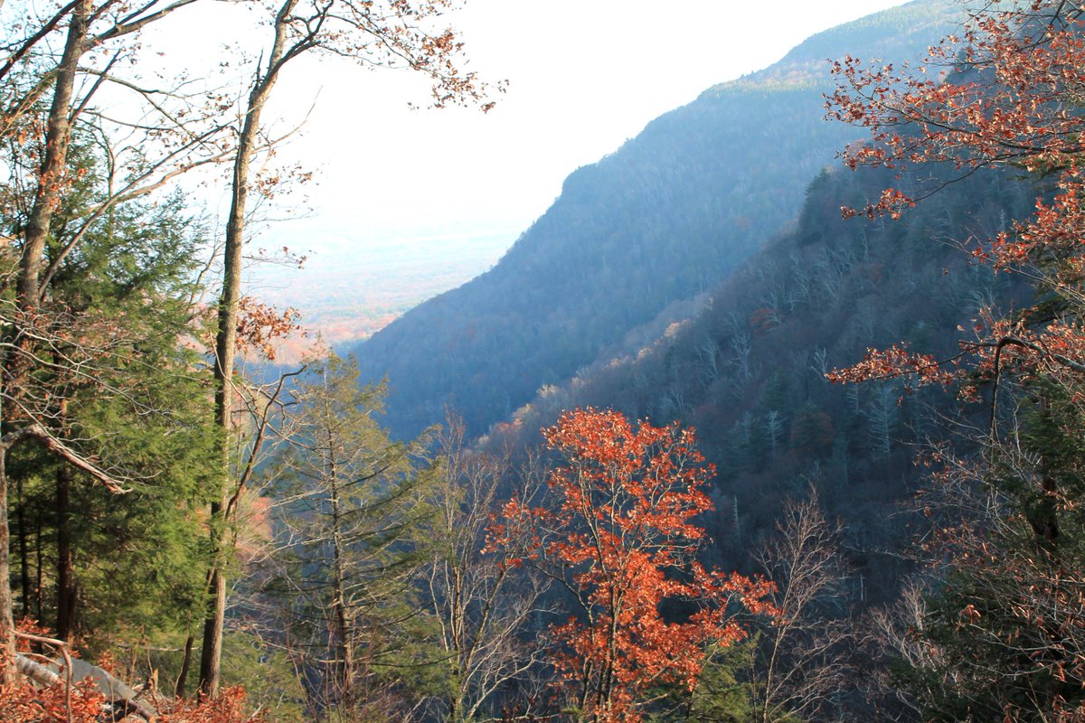 The Catskill Center is an accredited land trust and has benefited from the Conservation Partnership Program. Forests sequester carbon and help make our communities more resilient to the impacts of climate change! NY needs a $3 million CPP. #NYEnviroFund