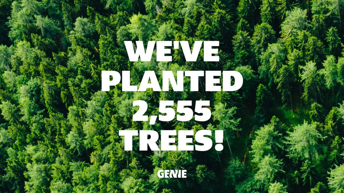 GenieDrinks's tweet photo. Happy International Day of Forests! 🌲

For every order you place on our website, we plant a tree native to its region with @Ecologi_hq. And now, with your help, we’re proud to say we’ve planted 2,555 trees!

#internationaldayofforests  #treeplanting https://t.co/MOxexsgtMu
