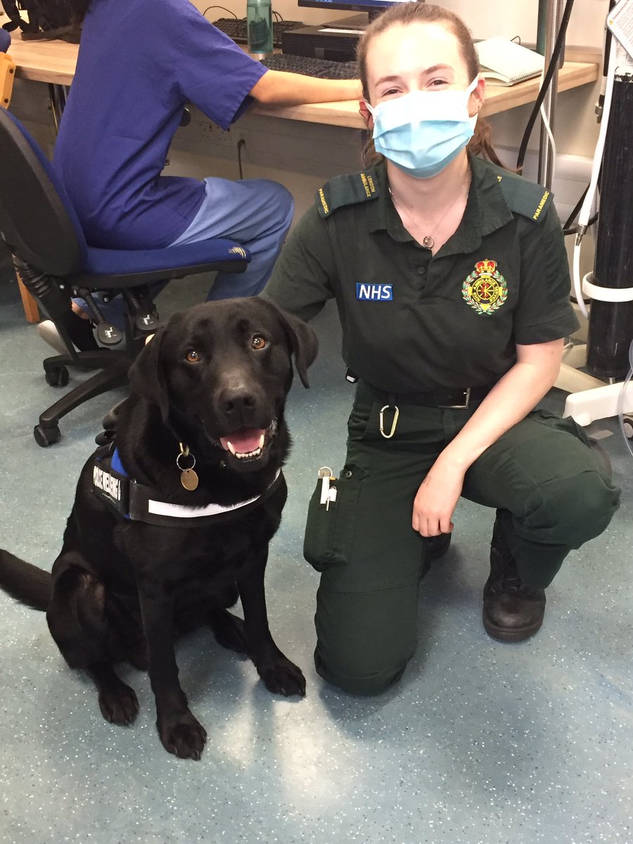 PD_DexterWBDOG's tweet image. Whilst @LNWHC , Dex made the day for some paramedics @Ldn_Ambulance (who don’t have a wellbeing dog service).Paramedics are those most likely to suffer burnout &amp;amp; PTSD out of all 999 services. Fact ! Great to see smiley faces from those #heroes in green. #NHS #MentalHealthMatters