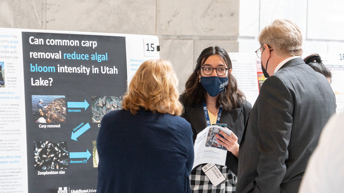 Undergrad Cristina Chirvasa is finding a way to reduce algae blooms in Utah Lake by removing carp! Her research was featured at Research on Capitol Hill and now on the Instead podcast, listen to her interview here!

bit.ly/Chirvasa

#USUResearch #USUUndergradResearch