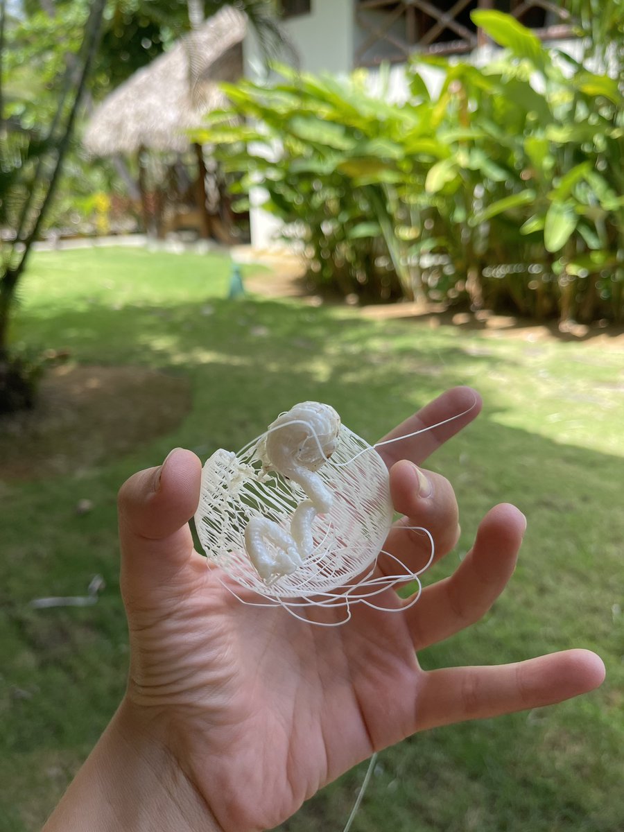 alesboem's tweet image. When you changed a nozzle but to forget to check the height of the print. #3dprintingfail #3dprint #failed #fail #3dprint