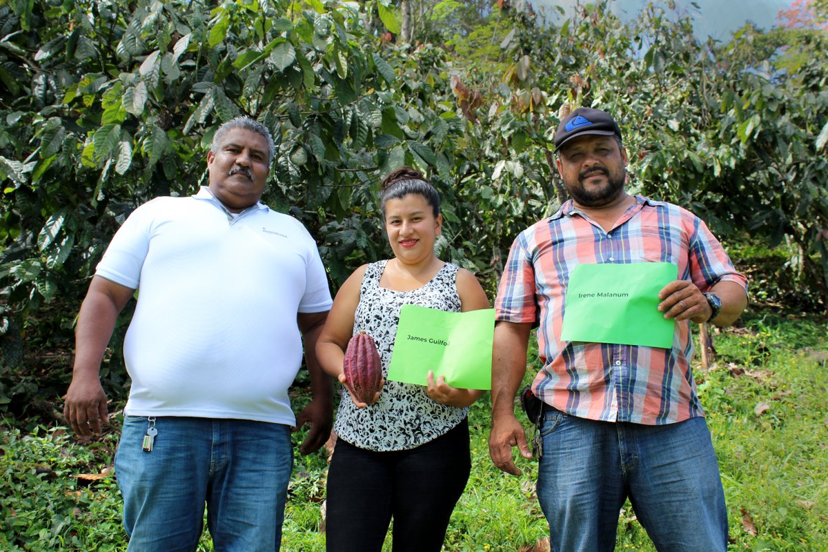 🧵1/ The @heirloomcacao created the “Adopt a Cacao Tree” initiative to champion heirloom farmers and their families. By adopting a tree, you will give financial support to farmers by paying a one-year renewal or monthly subscription.