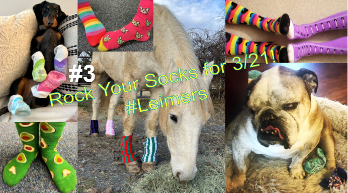 ATS FCPS tweet media