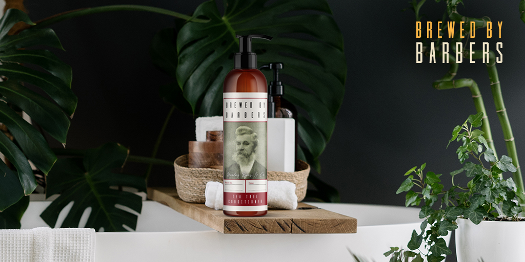 BrewedByBarbers's tweet image. Get your barnet buzzin&apos; with our zingy Tea Tree Conditioner.

🌿 Instantly detangles
🌿 Softens &amp;amp; smoothes
🌿 Renews damaged hair

Shake up your in-shower routine: bit.ly/3pmox4I

#BrewedByBarbers #teatreeconditioner #menshaircare