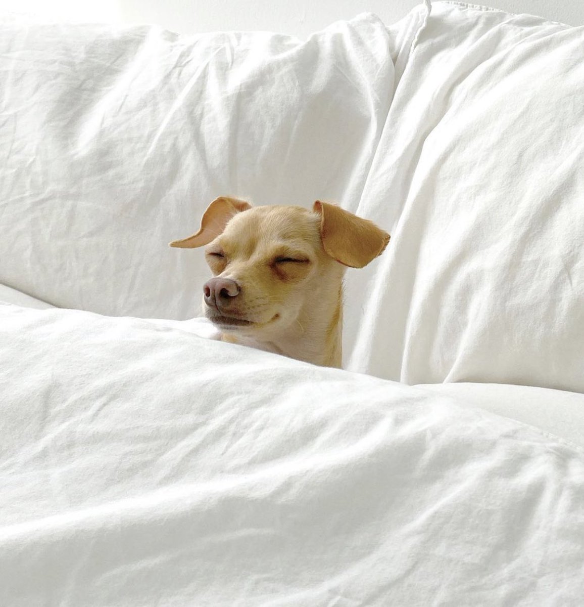 Good morning! My Monday mood after #SXSW2022