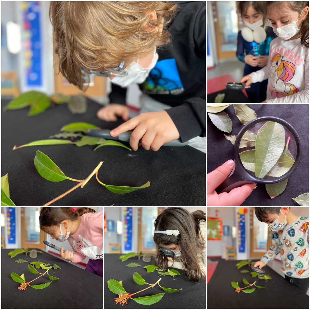 Yeşil Bir Dünya İçin Kağıtsız Hafta 🌳
☘️Öğrencilerimiz “Orman Haftası” etkinlikleri kapsamında,ormanlarımızı korumanın önemini öğrenerek,artık materyallerden “Kağıtsız Orman” oluşturdular. 🌲🌴 <a href="/ErkenCocukluk/">Hale Güneş</a> <a href="/tugbaozdinc/">Tuğba Özdinç Kater</a> <a href="/omerfarukozer/">ömer faruk özer</a> <a href="/isilkumyol/">Işıl Kumyol</a>