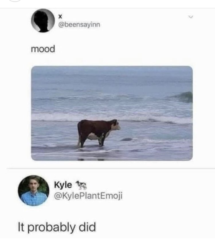 Space Donkey ©️ 🦖 (@spacedonkey1) on Twitter photo 