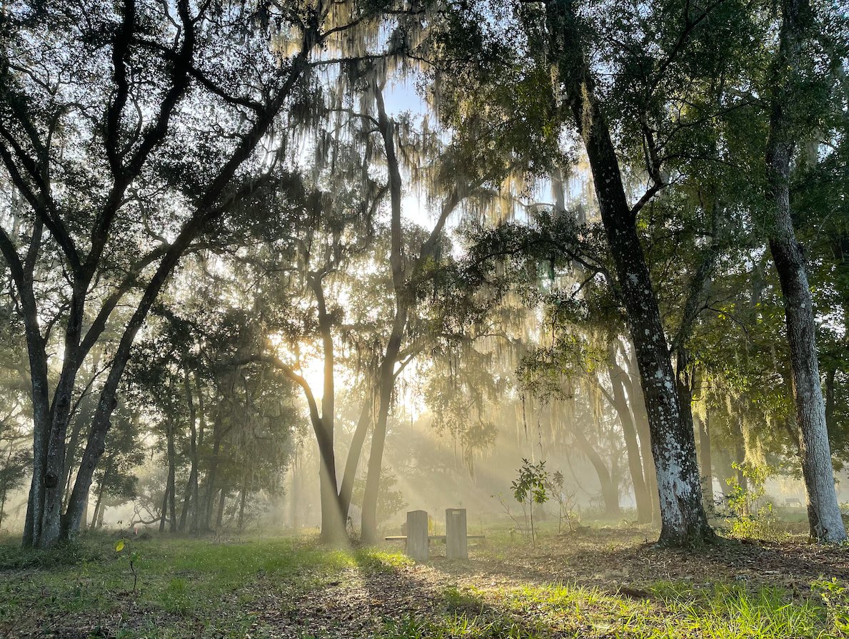 Natural Burial Association tweet media