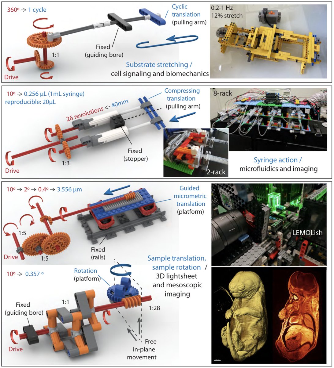 🚨😍🔬 #LEGO in #Science is back!! In our latest work, we showcase what you can do with it in a bio-lab and more! A project led by @EtienneBoulter with Julien Colombelli and <a href="/FeralLab/">Feral Lab</a>. From stretchers, microfluidics, to full-fledged (light-sheet) 'scopes. doi.org/10.1016/j.tibt…