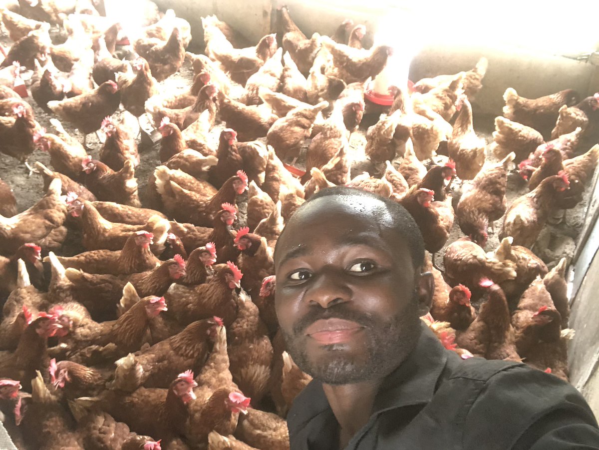 Elie Lomboto🇨🇩🐓 tweet media