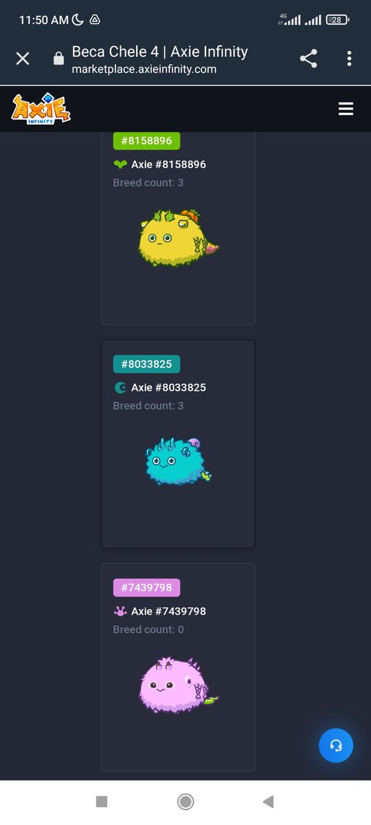 Becas Viajeras Oficial ✈️🌴 tweet media