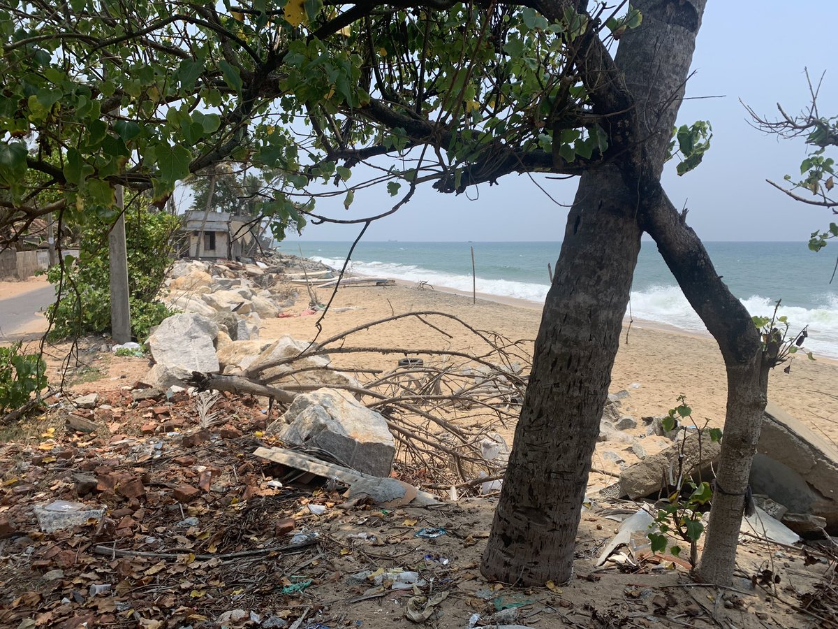 N.S. Madhavan tweet media