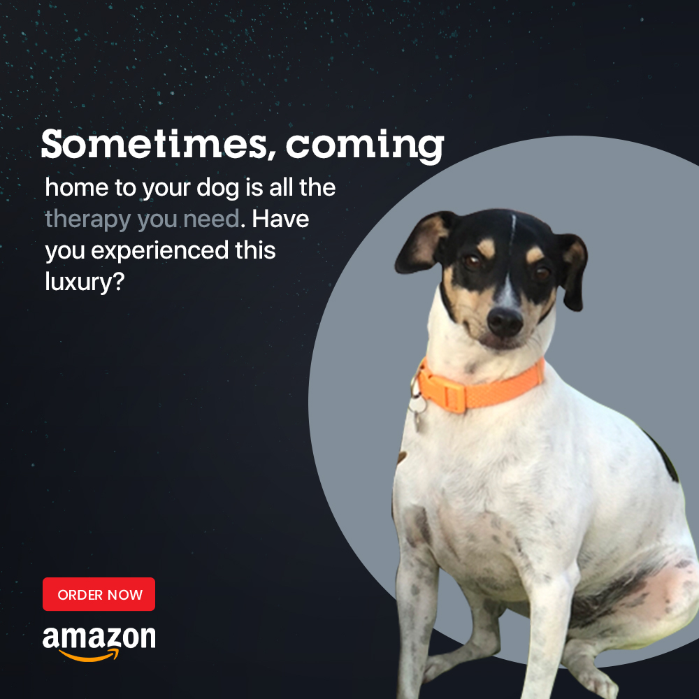 Finding Mr George tweet media