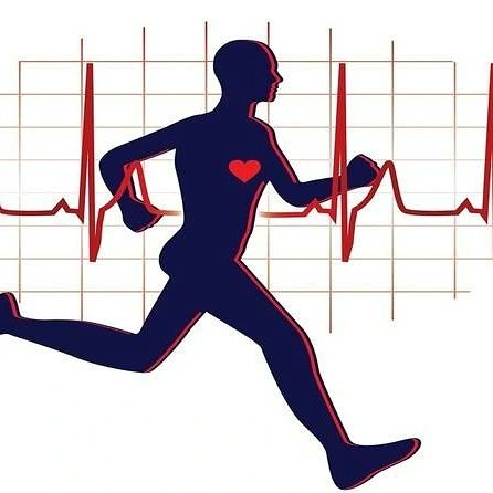 JSMPF_'s tweet photo. Exercise-induced hypertension, arterial stiffness, and cardiorespiratory fitness in runners🫀🏃🏃‍♀️➡️https://t.co/We0MBMfFz2 https://t.co/885D3spWuU