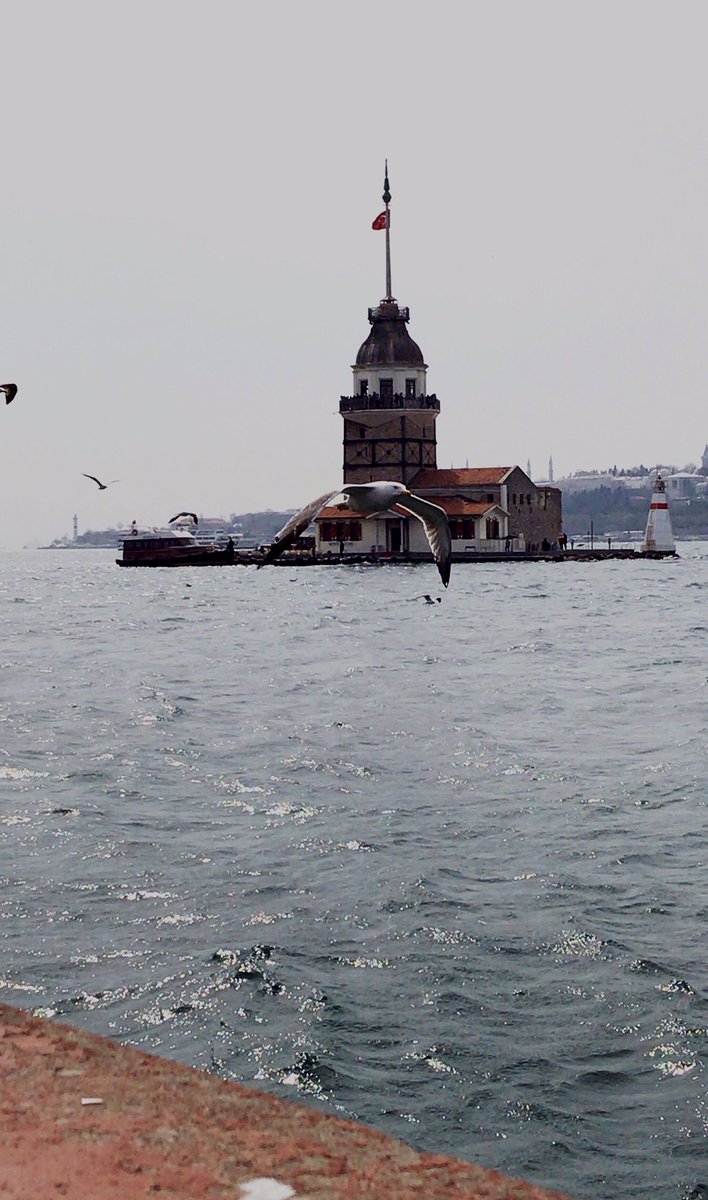 diginoff's tweet photo. @sloikaxyz İstanbul Maiden’s Tower https://t.co/gBAK6ZNFe5