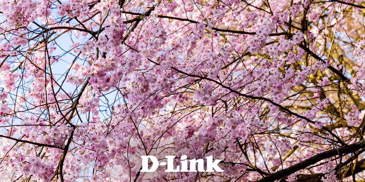 DLink_France's tweet photo. Avec l’arrivée du #printemps, passez du bon temps dehors en toute sérénité grâce à D-Link, gardien de votre monde.
#dlink #homesweethome #maisonconnectée #caméra #sécurité #mydlink https://t.co/fp5D5gBezx