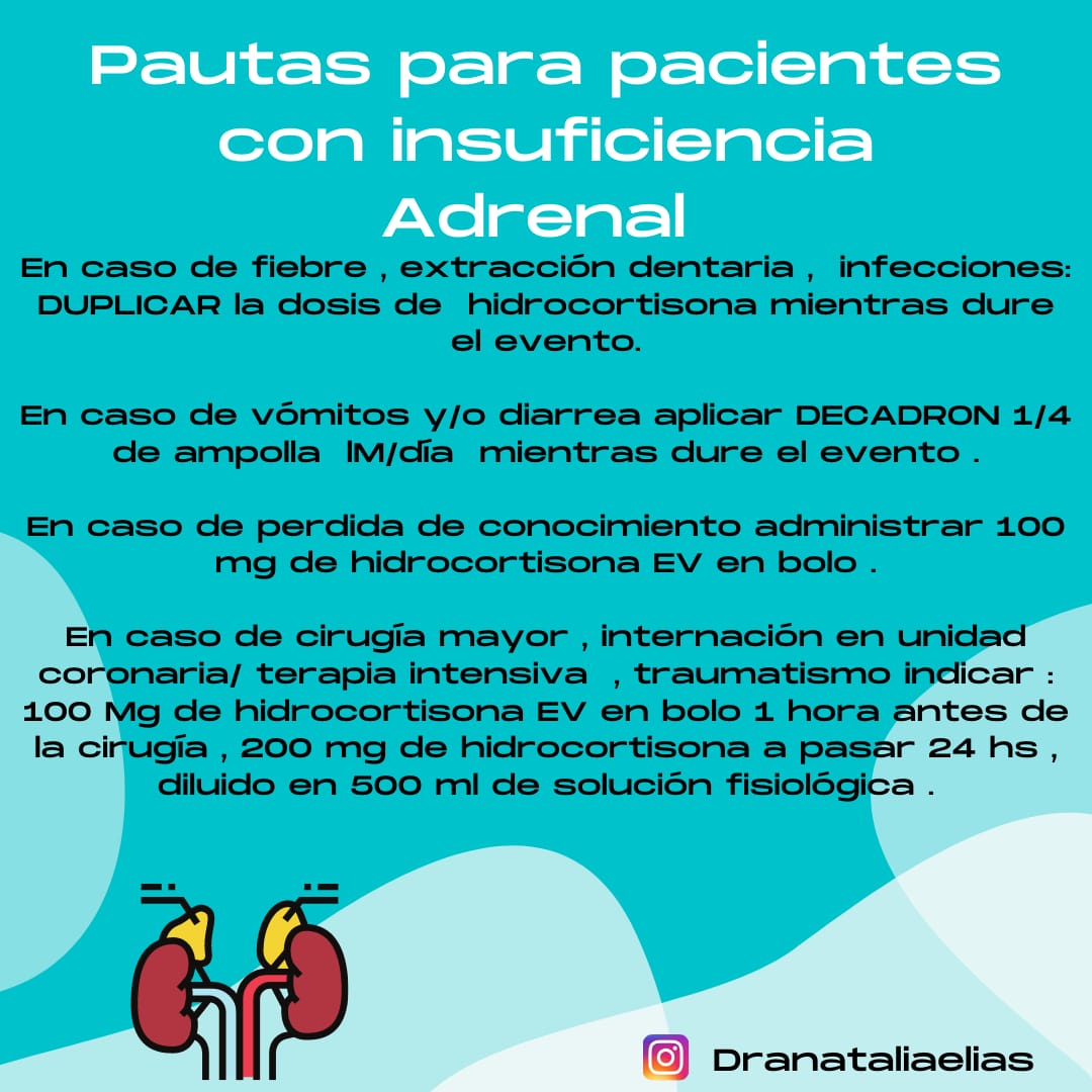 elias_dra's tweet photo. #insuficiencia adrenal #suprarrenal https://t.co/2loTOPEwky