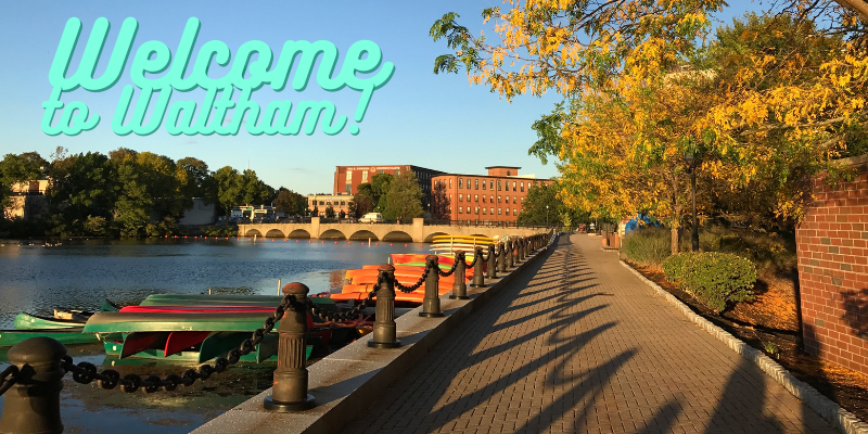 CityofWaltham's tweet photo. ℹ New to the city of Waltham? Here's a quick run-down of everything you need to know about living/working in our fabulous city! https://t.co/2KvZzh3SRm https://t.co/fLnHr14xp3