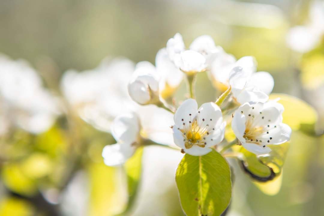 Je fotografieskills verbeteren?

Binnenkort starten er weer nieuwe cursussen en workshops in Zeeland.
Op 19 april start de beginnerscursus fotografie!
23 april workshop Leer je camera kennen
29 april Lente en bloesem fotograferen
academy.carolienboogaardfotografie.nl