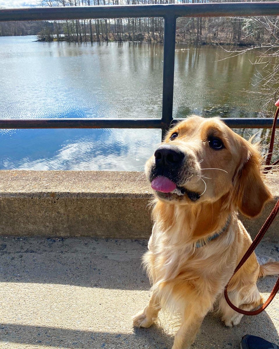 Chickybro tweet media