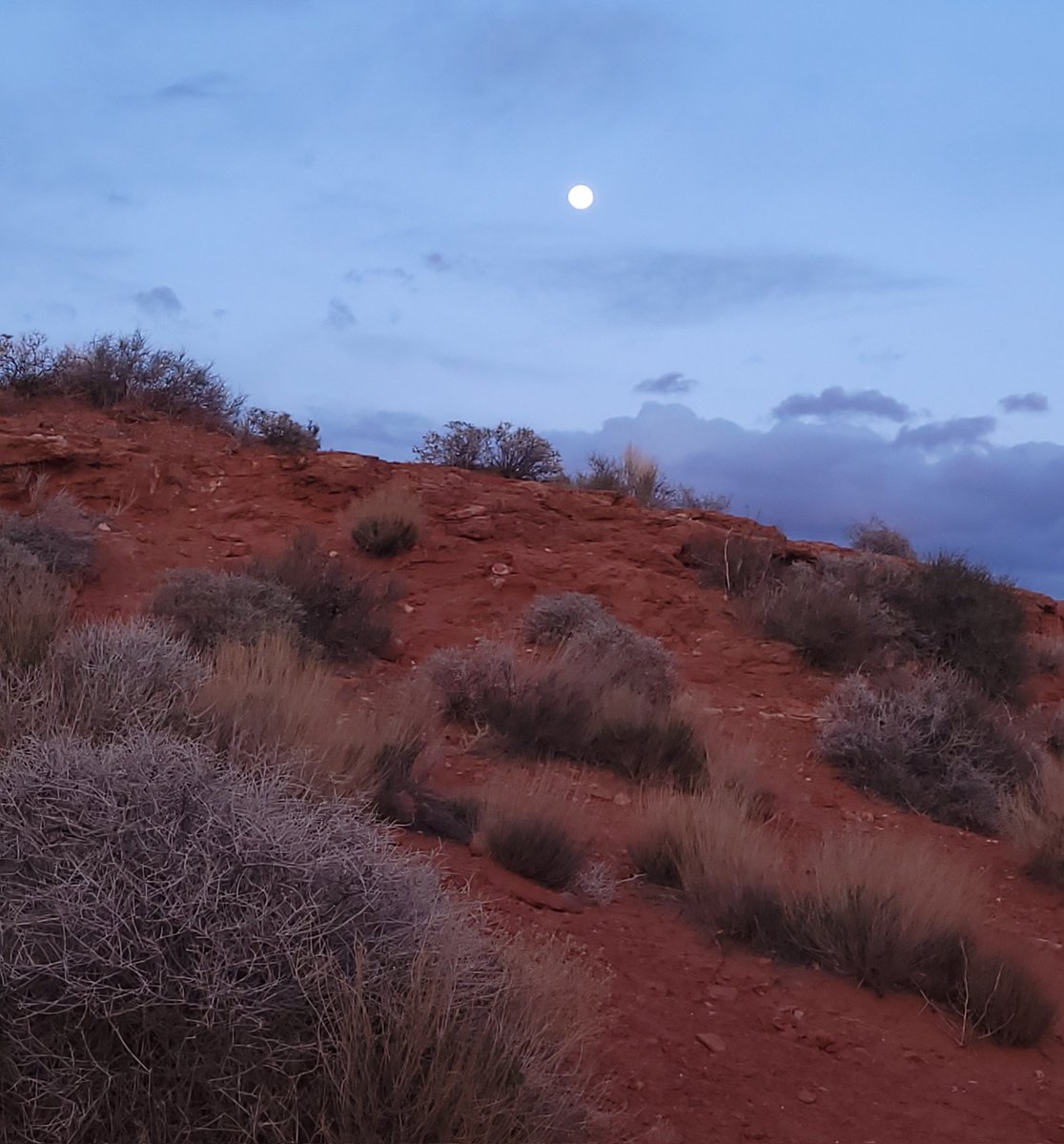 Guitargirlk's tweet photo. Red Desert inspired pictures I took a few nights ago :) @5sos #CompleteMess #Youareacompletemess https://t.co/iERPqfADjo
