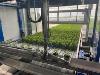 VEGEPOLYSVALLEY's tweet photo. Ravis de participer ce matin à l'inauguration du nouveau site de production de plantes #aromatiques bio de notre adhérent #Bioplant en région angevine. Une belle aventure qui se poursuit! https://t.co/vqYHaGxgJQ