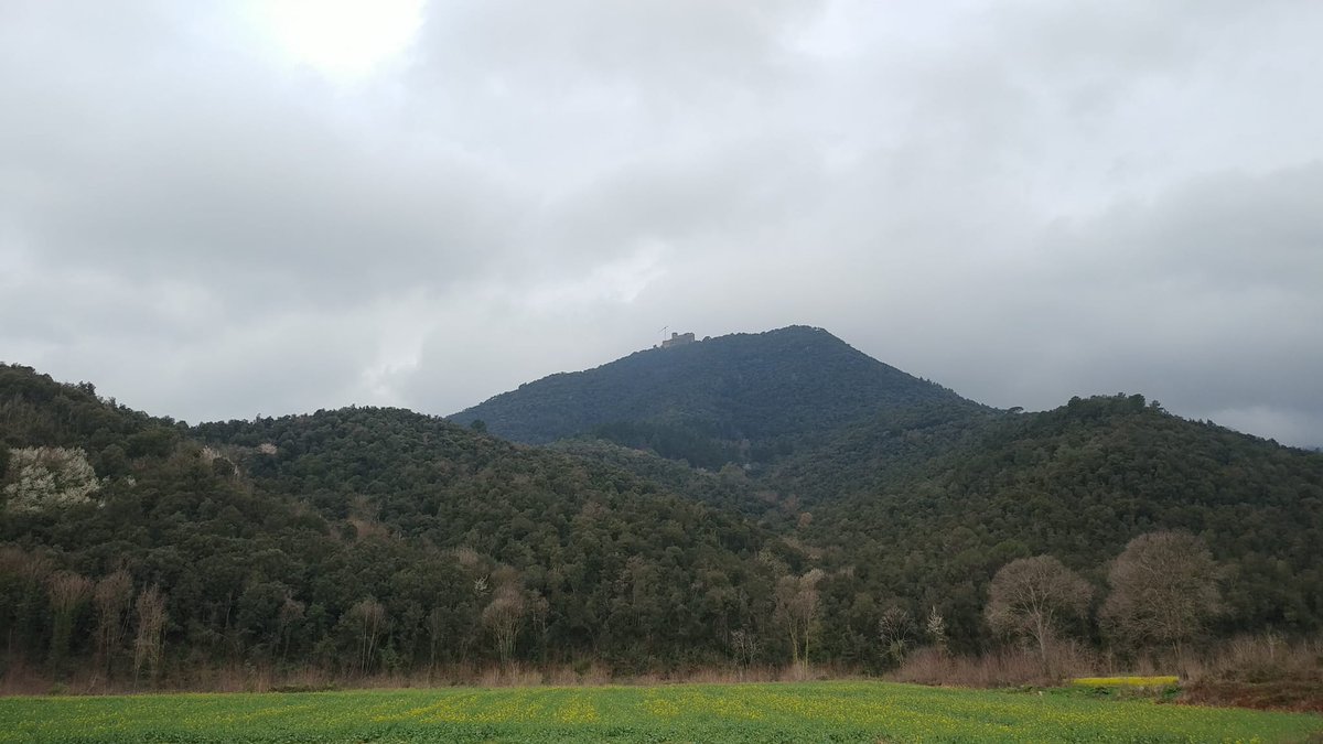 elgoscantaire's tweet photo. Molt bona tarda des de #canorta de #santfeliudebuixalleu també de l'associació @trlaselva vista del castell de @montsoriu sota la pluja. https://t.co/sd0pAeT8aY