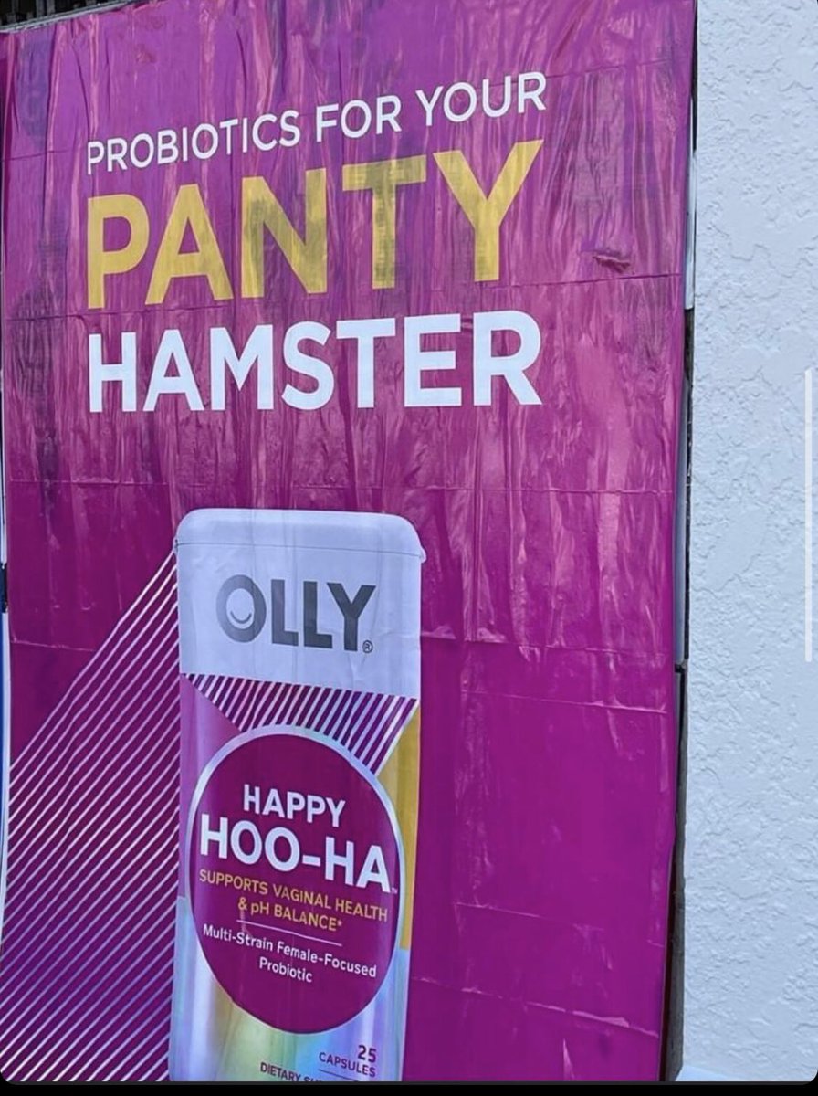 Sara Strodtbeck 🏳️‍🌈 🏳️‍⚧️ on X: Panty Hamster. Theres a phrase you  dont hear every day. Or ever.  X