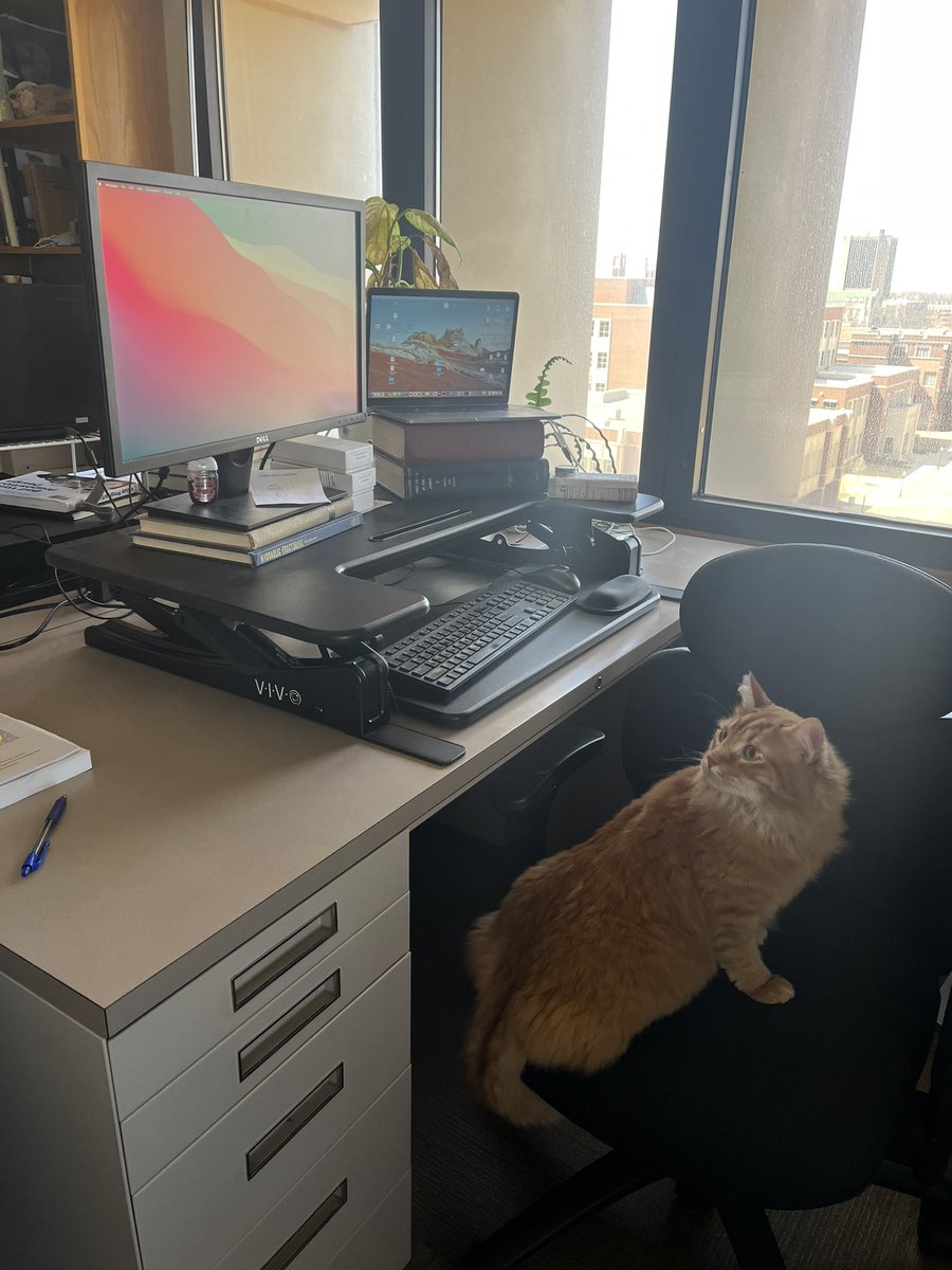 Bison_UG's tweet photo. We got a little extra help in the office yesterday from Oscar and Fritz (courtesy of @lilyspj). Cat geologists to the rescue. 🐈🐈‍⬛ #sciencecats https://t.co/dNJzqnyCZS