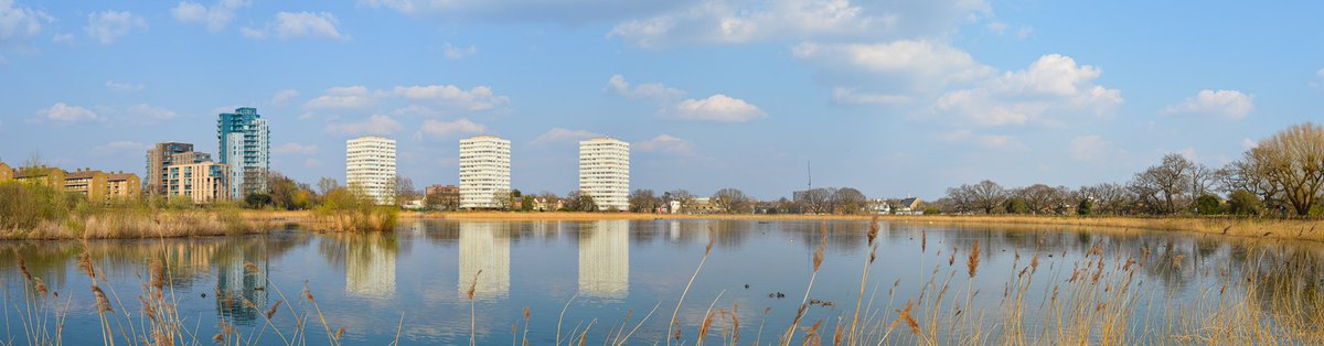Lovely walk around the @WildLondon @WildWoodberry yesterday, fantastic place.

And a good chance to play around with some panoramas 📸.