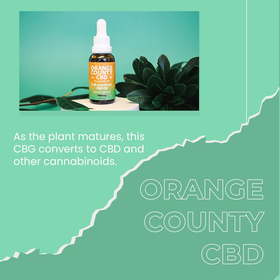 orangecountycbd's tweet photo. What is CBG? 🧐
CBG has been a topic that many people ask us about here at Orange County CBD, so we have come with some facts on CBG and CBG oil 😍
#cbgoil #cbg #cbdeducation #cbdoil https://t.co/Nvldika9l6