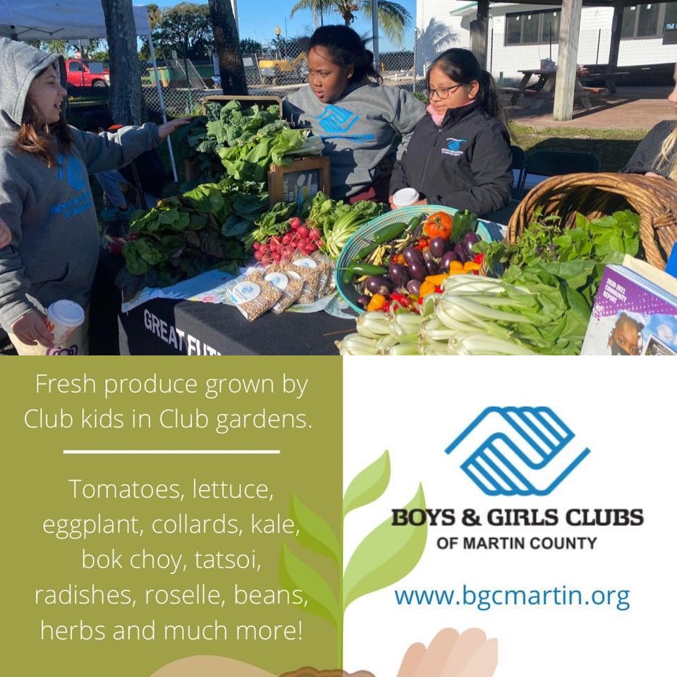bgcmartincounty's tweet image. Who doesn't dig an excellent green market? Especially when kids are the gardeners and purveying the produce! This Sunday, March 27, 9 a.m. - 1 p.m., Club members and Food Justice and Garden Coordinator Cailynne Palmieri will return to Market on Main in Historic #DowntownStuart!