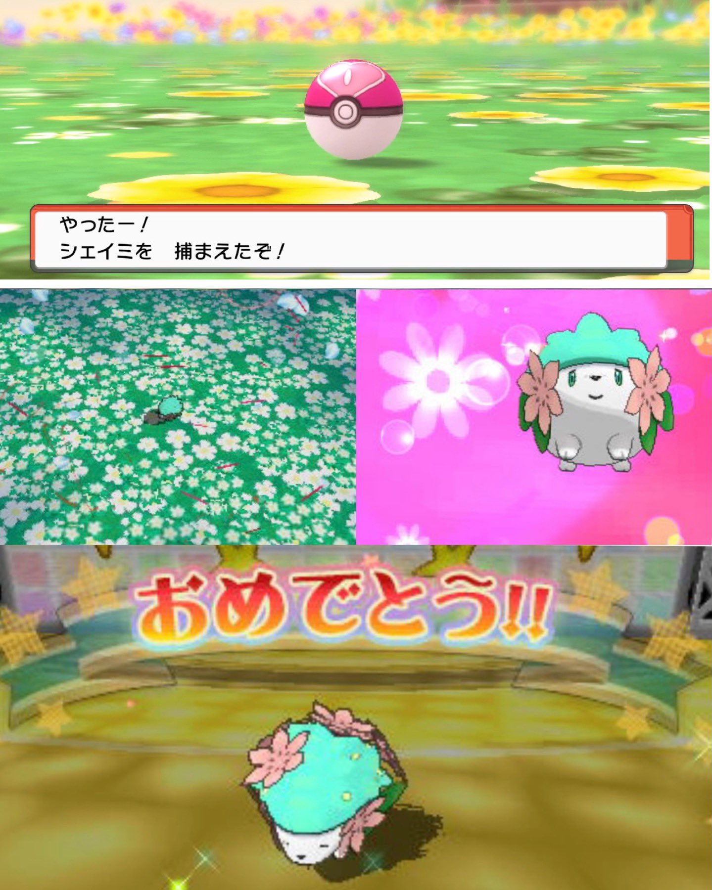 みるくてぃー Mmmttt Poke Twitter