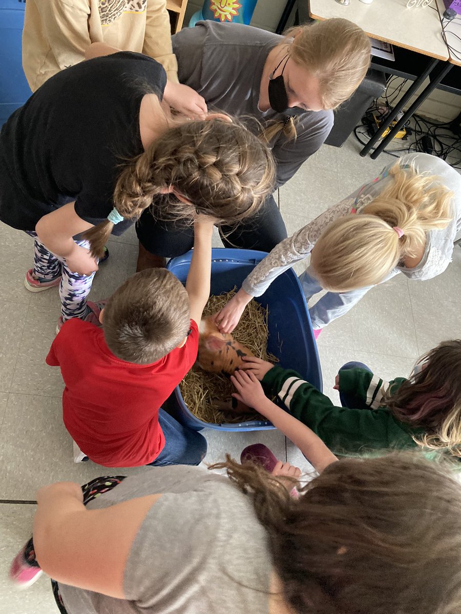 Mrs. Bower’s class is touring Canada learning about different types of farms. 
Today, Tiffany and two piglets from Beck Farms dropped in for a visit. Our students loved their guests. #communityconnections #firsttimelearning <a href="/avrce_ps/">AVRCE Programs and Services</a> <a href="/AVRCE_NS/">Annapolis Valley Regional Centre for Education</a>