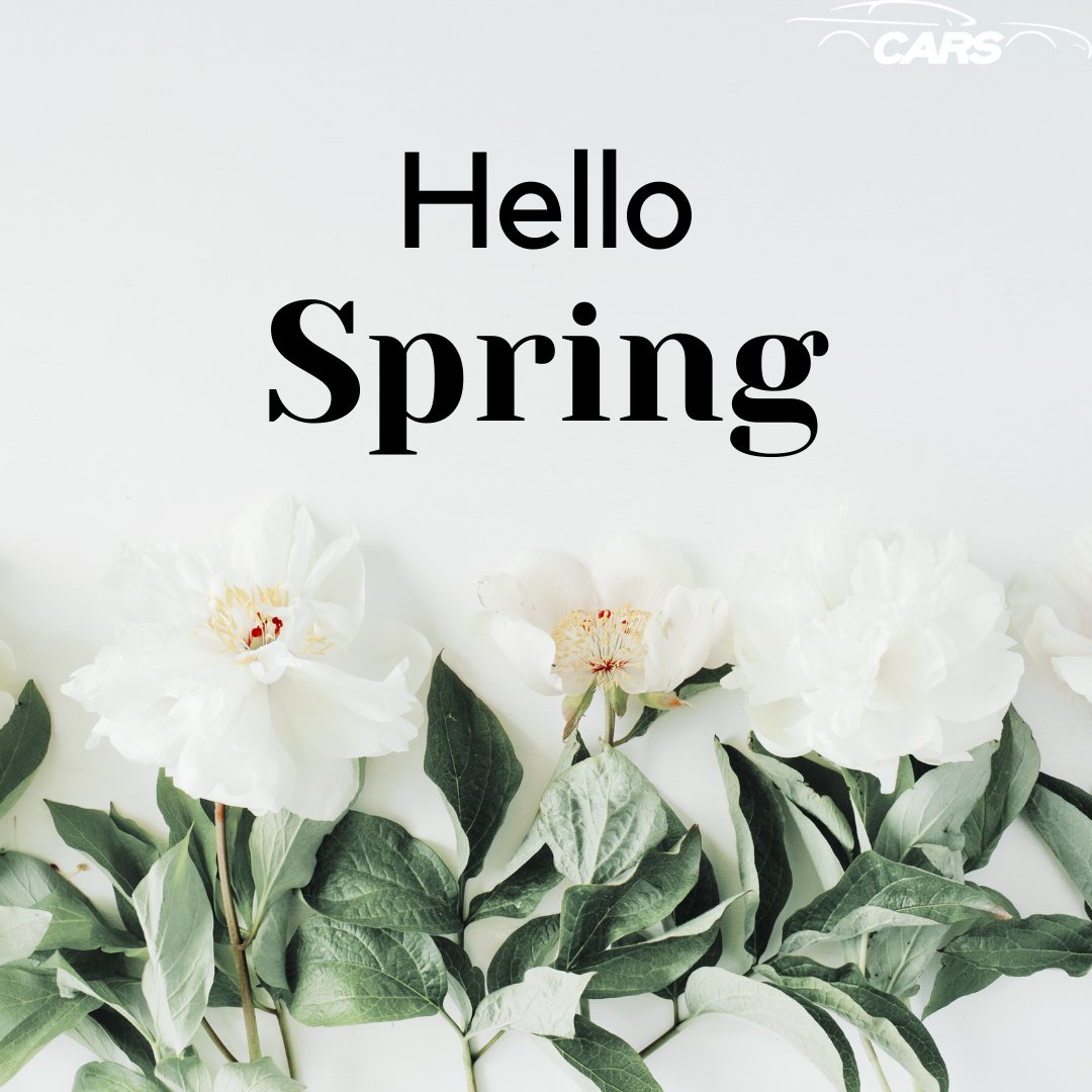 Oh Spring, how we have missed you…
 
#CARSRecon #HappySpring
#EveryDetailMatters