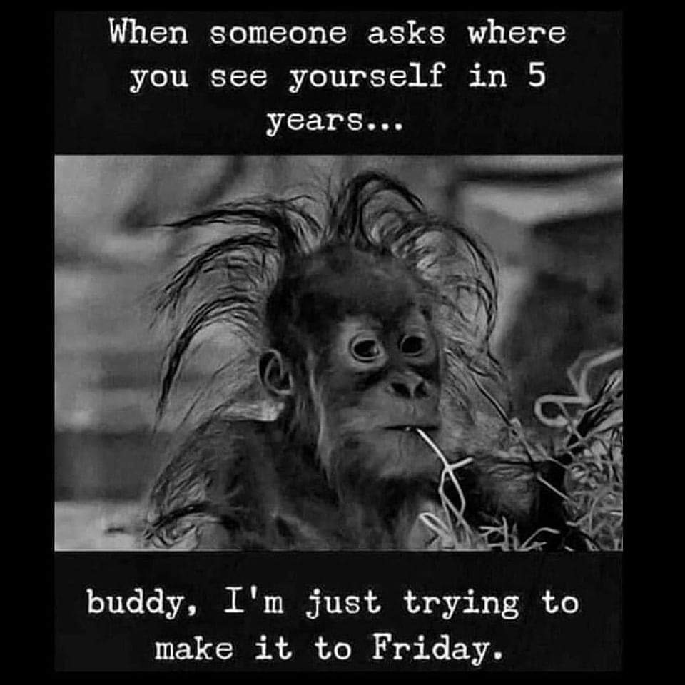 teachergoals's tweet photo. For real though. 💯 https://t.co/wpKd4XGTdt