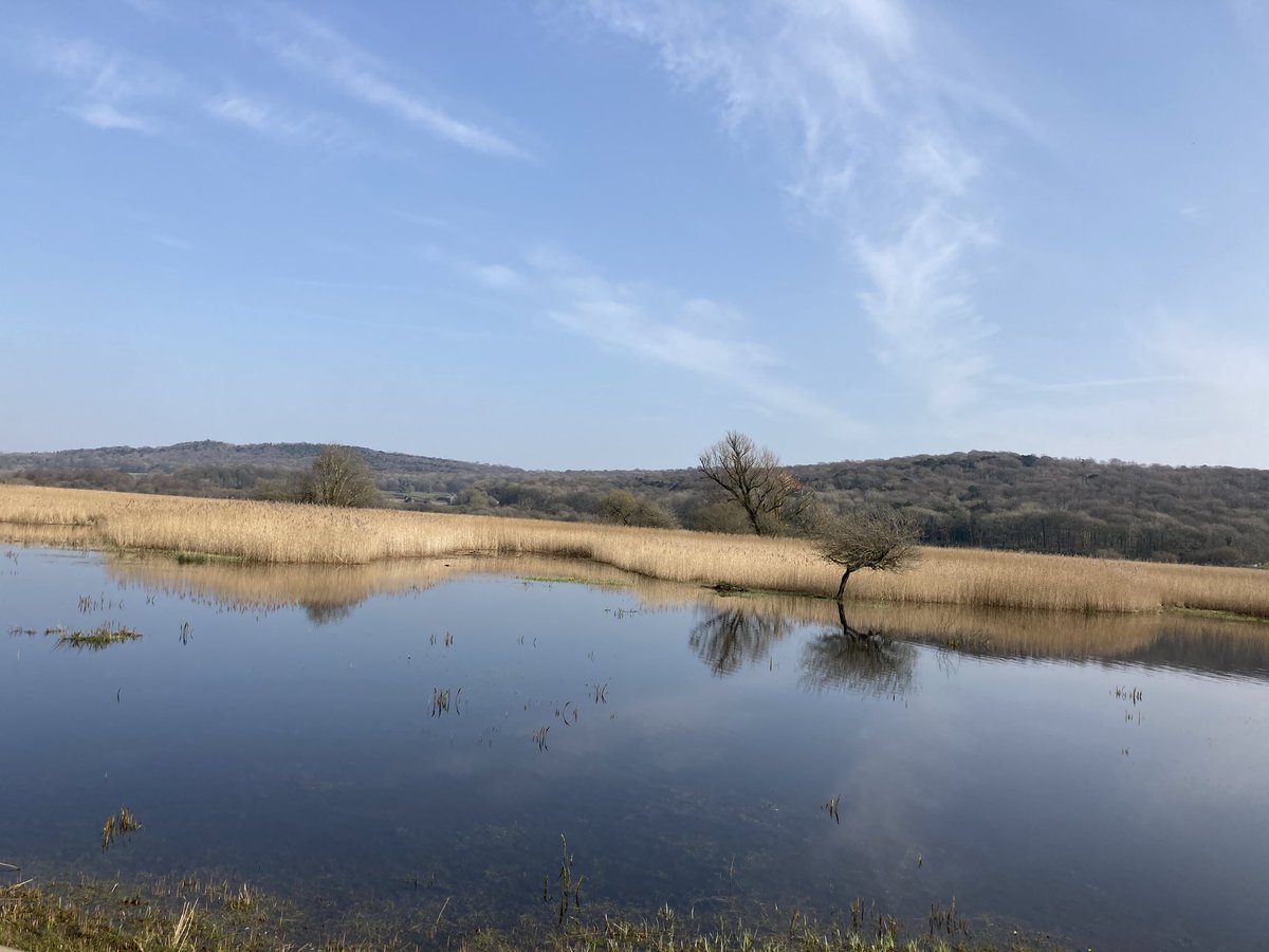 chellisa78's tweet photo. @RSPBLeightonM loved our visit today great to walk amongst nature. So very soothing 😍 https://t.co/PBLIkblLL4