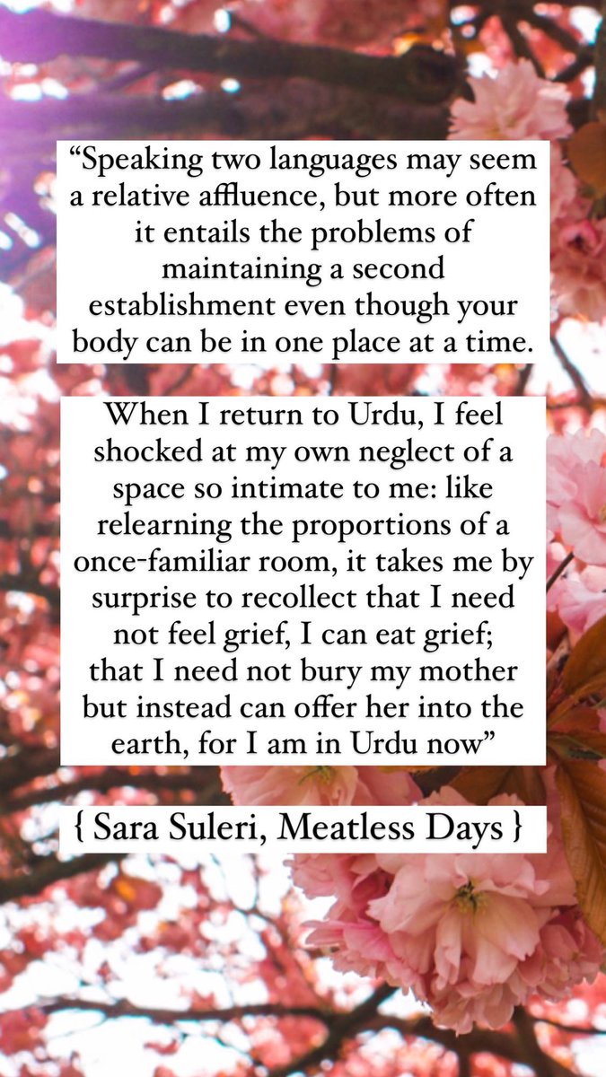 beforeandagain_'s tweet photo. #SaraSuleri #MeatlessDays https://t.co/P3byqvabUi