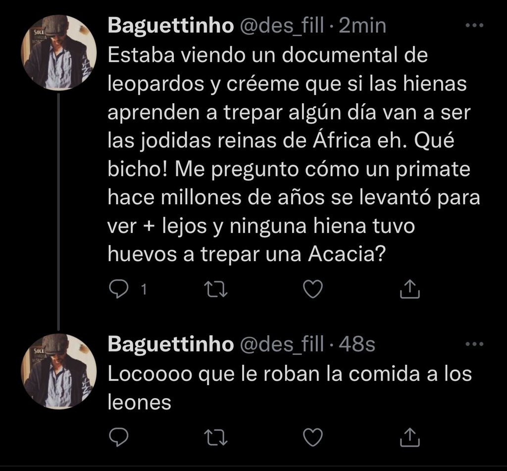 Out of context Tw Mallorca (@ooc_twmallorca) on Twitter photo 