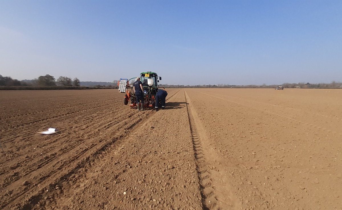 Nigel W Kingston 🇬🇧 (@kingston22w) on Twitter photo Ladies in #Agriculture #Horticulture
<a href="/rixfarms/">Sam Rix</a> drilling going excellently today #Greatjob
<a href="/niabgroup/">Niab</a> <a href="/Syngenta/">Syngenta</a>CropsUK
@Syngenta <a href="/basnapier/">Bruce Napier</a>
<a href="/sue_hutch1/">Sue Hutchinson</a> Ladies in #Agriculture #Horticulture
<a href="/rixfarms/">Sam Rix</a> drilling going excellently today #Greatjob
<a href="/niabgroup/">Niab</a> <a href="/Syngenta/">Syngenta</a>CropsUK
@Syngenta <a href="/basnapier/">Bruce Napier</a>
<a href="/sue_hutch1/">Sue Hutchinson</a>