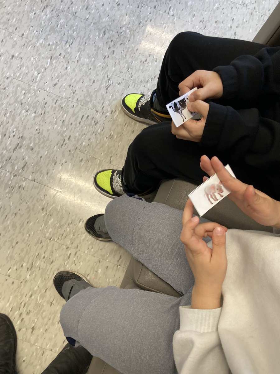 TeachMsMolloy's tweet photo. Reflecting on similarities and differences on #WorldDownSyndromeDay @cedarhollowps #thehollow with a story and by looking for what’s common and uncommon between the animals on our cards https://t.co/mbIqXjrFsu