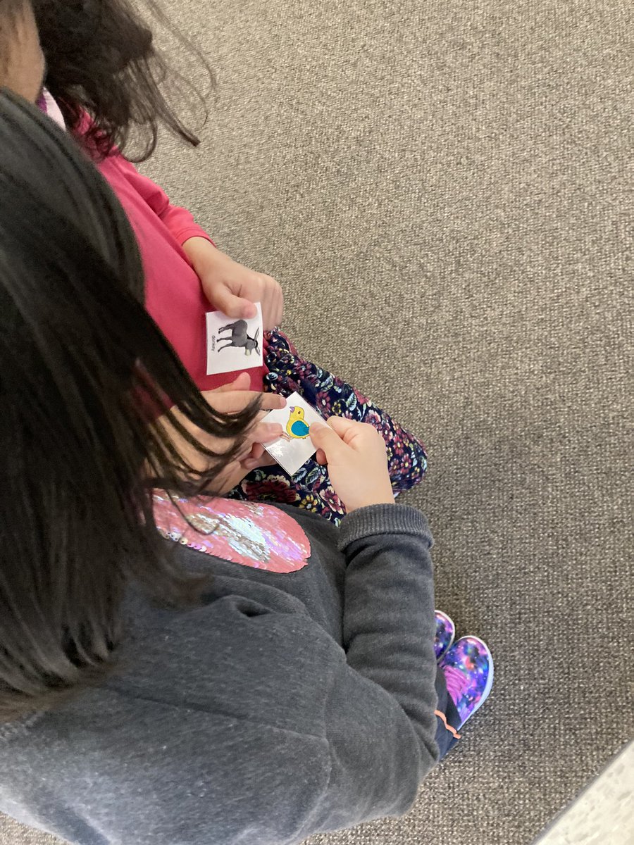 TeachMsMolloy's tweet photo. Reflecting on similarities and differences on #WorldDownSyndromeDay @cedarhollowps #thehollow with a story and by looking for what’s common and uncommon between the animals on our cards https://t.co/mbIqXjrFsu